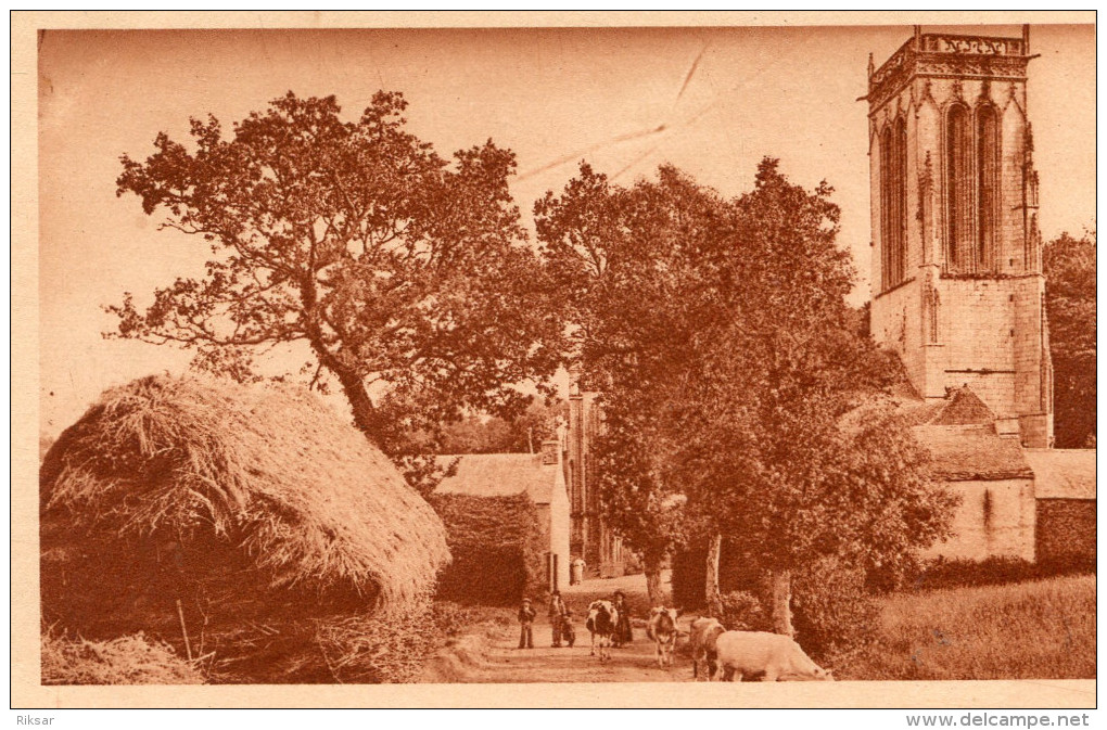 SAINT HERBOT(FINISTERE) VACHE