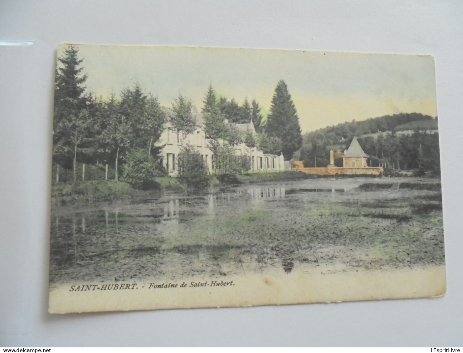 SAINT HUBERT Fontaine de Saint Hubert Colorisée Carte Postale PrécurseurCP AK PK Postcard
