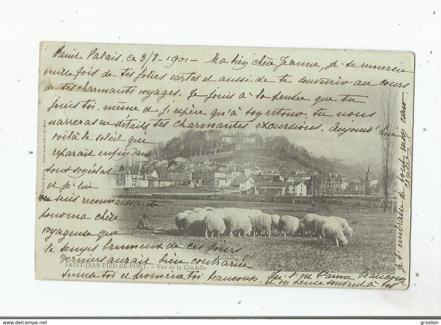 SAINT JEAN PIED DE PORT VUE DE LA CITADELLE (PETIT BERGER ET TROUPEAU) 1901