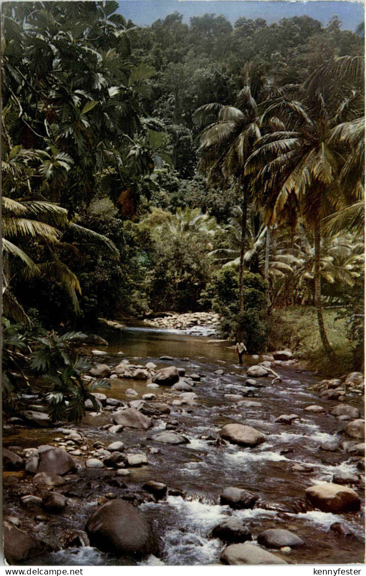 Saint Joseph Martinique