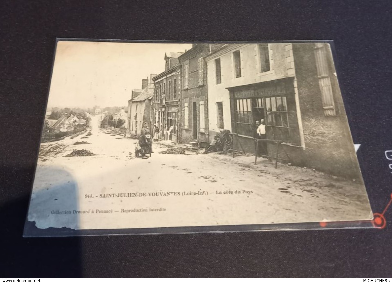 SAINT-JULIEN -DE-VOUVANTES - la côte du pays