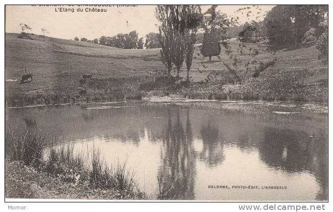 SAINT-LAURENT-de-CHAMOUSSET L'Etang du Château