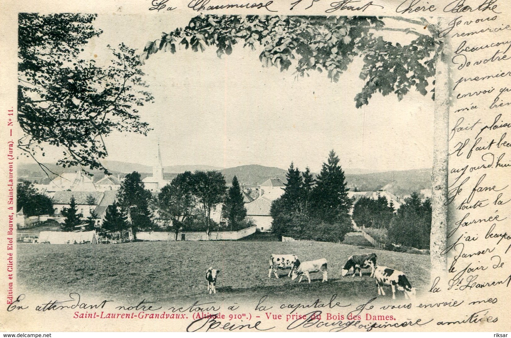 SAINT LAURENT GRANDVAUX(VACHE)