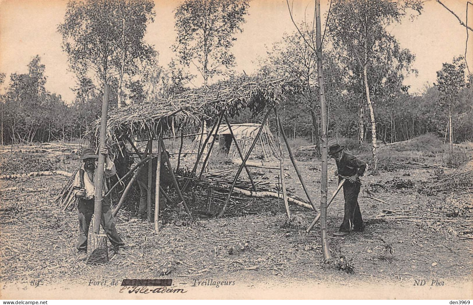 SAINT-LEU-la-FORET (Val-d'Oise) - Forêt de Saint-Leu (l'Isle-Adam) - Treillageurs