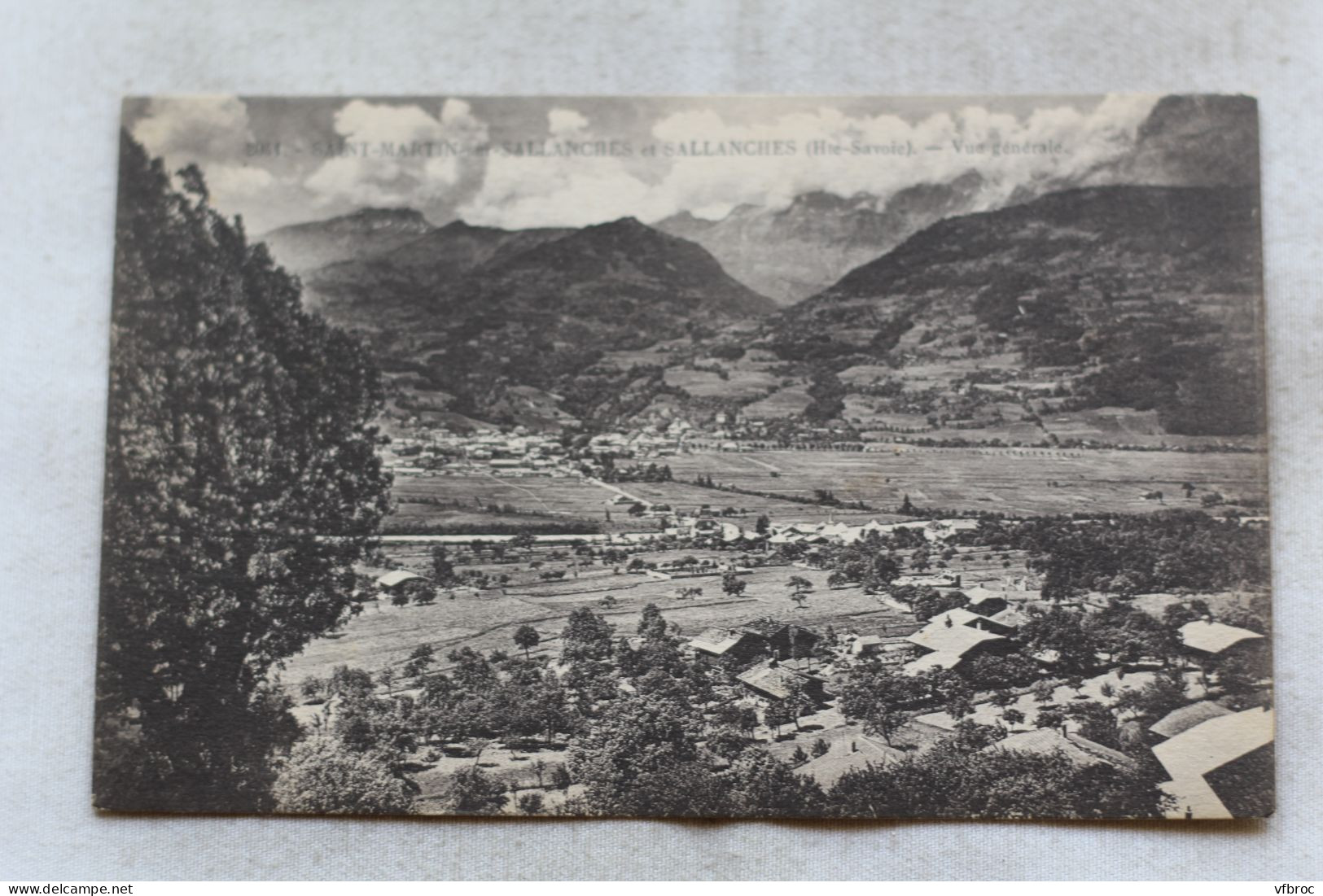 Saint Martin sur Sallanches et Sallanches, vue générale, Haute Savoie 74