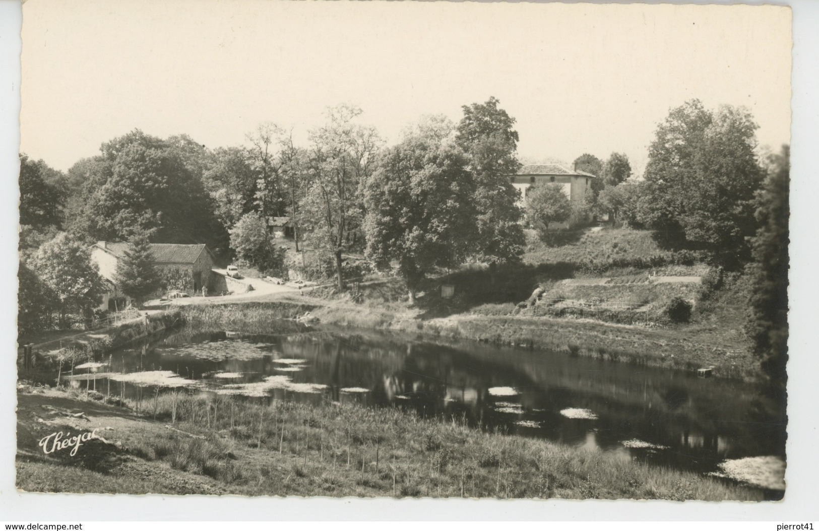 SAINT MATHIEU - Cotarial