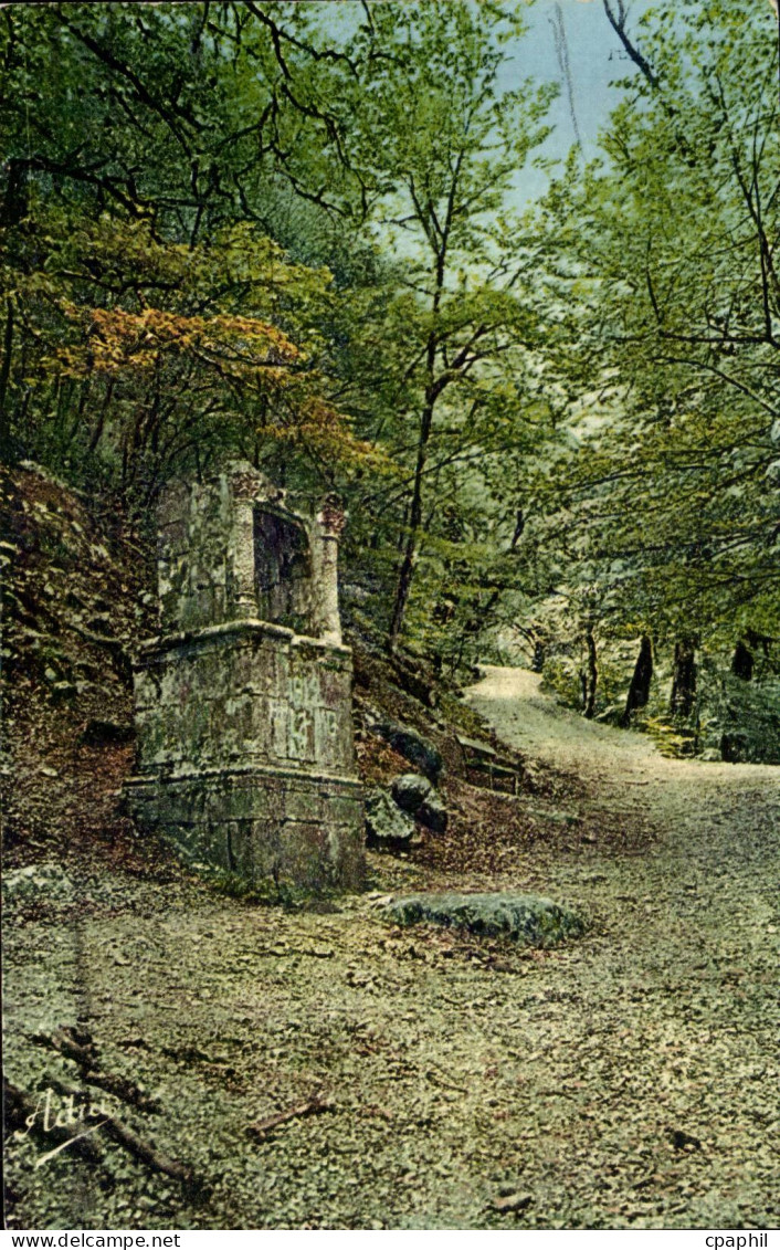 Saint-Maximin-la-Sainte-Baume - Hotellerie et Grotte - St Zacharie - CPA