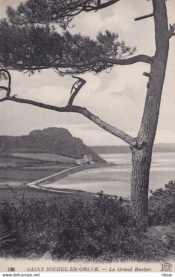 SAINT MICHEL EN GREVE(ARBRE)