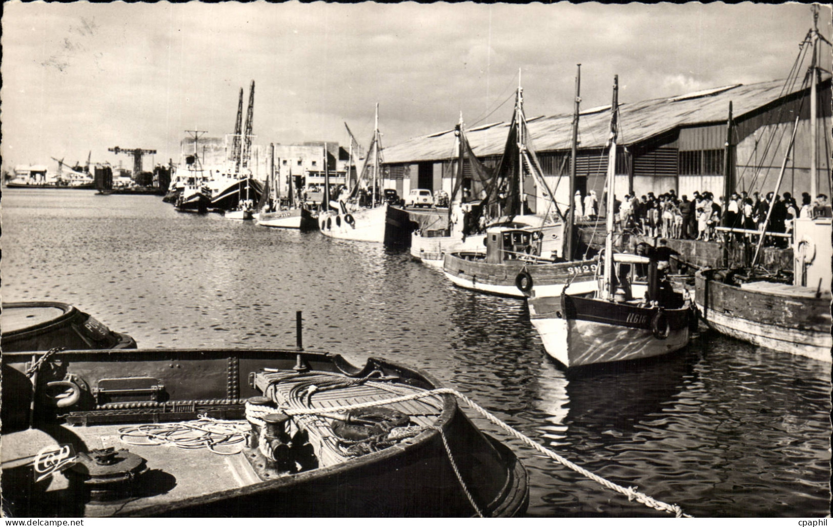 Saint Nazaire CPA Le port