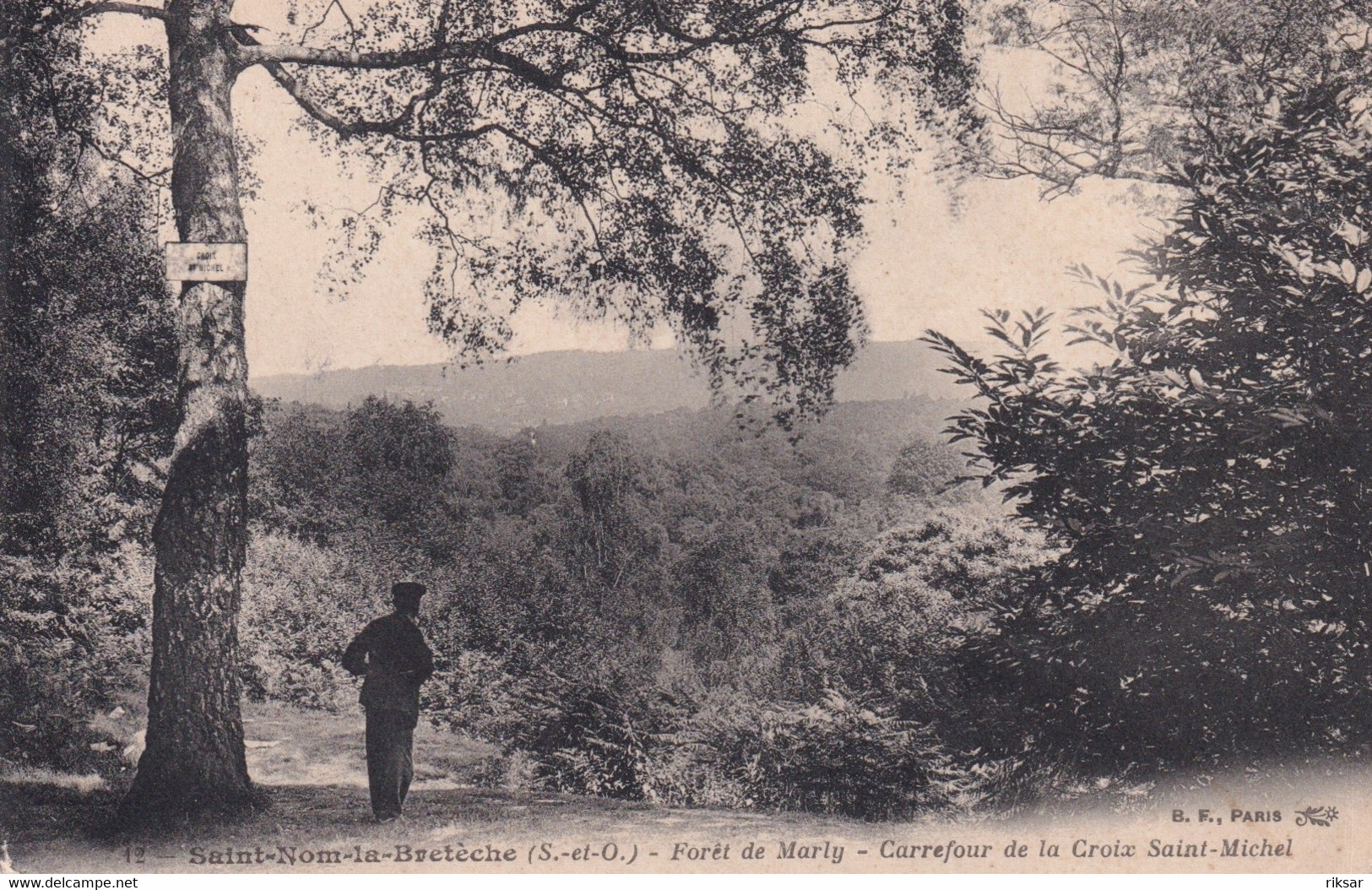 SAINT NOM LA BRETECHE(ARBRE)