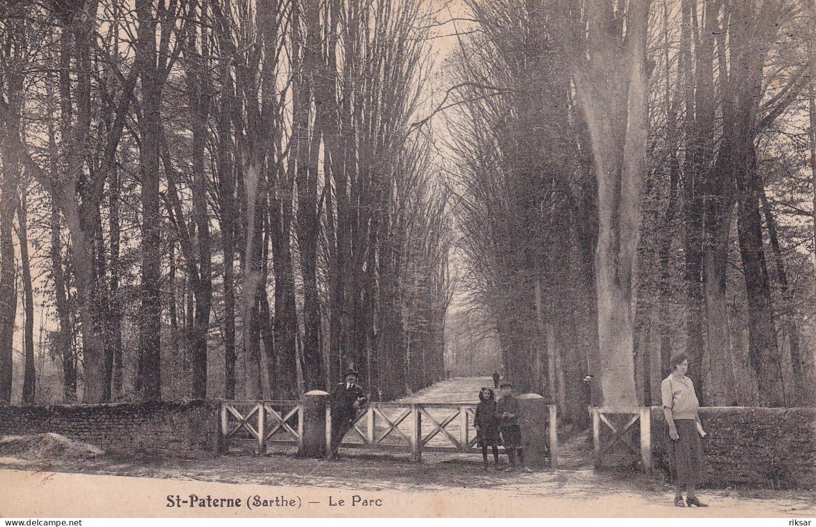 SAINT PATERNE(ARBRE)