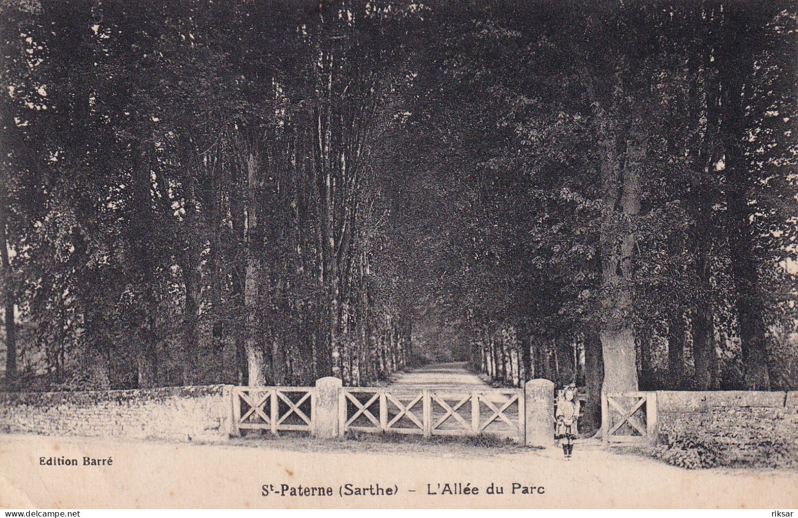 SAINT PATERNE(ARBRE)
