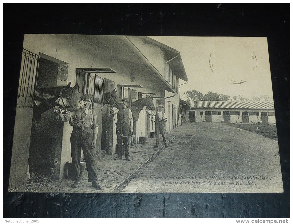SAINT-PAUL-LES-DAX - ECURIE D'ENTRAINEMENT DU RANCES - CHEVAUX DE 2 ANS - 40 LANDES (N)