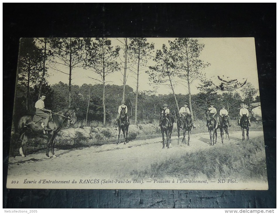 SAINT-PAUL-LES-DAX - ECURIE D´ENTRAINEMENT DU RANCES - POULAINS A L'ENTRAINEMENT - 40 LANDES (N)