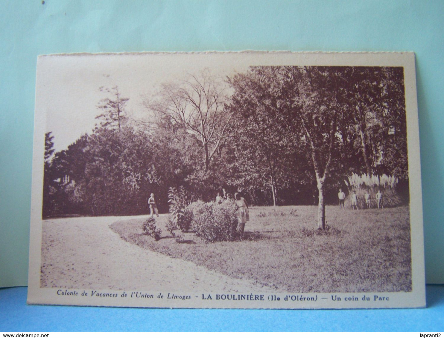 SAINT-PIERRE-D'OLERON (CHARENTE MARITIME) COLONIE DE VACANCES DE L'UNION DE LIMOGES. LA BOULINIERE. UN COIN DU PARC.