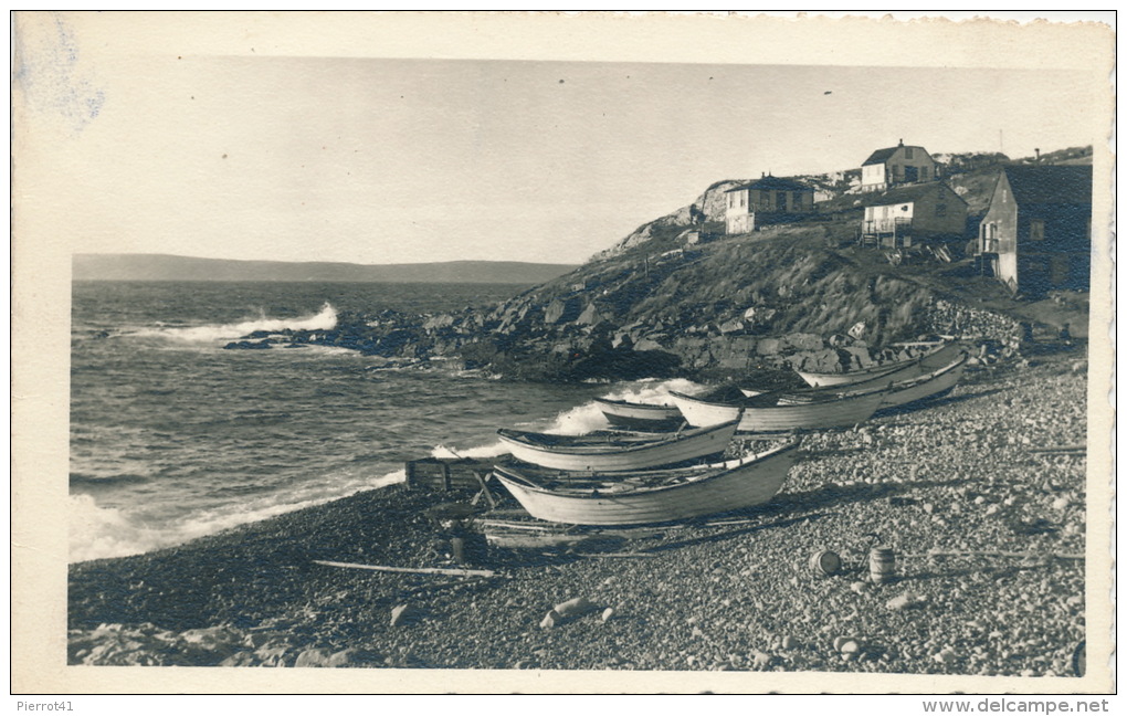 SAINT PIERRE ET MIQUELON - Carte ouvrante de "Meilleurs Voeux de SAINT PIERRE ET MIQUELON" (1950)