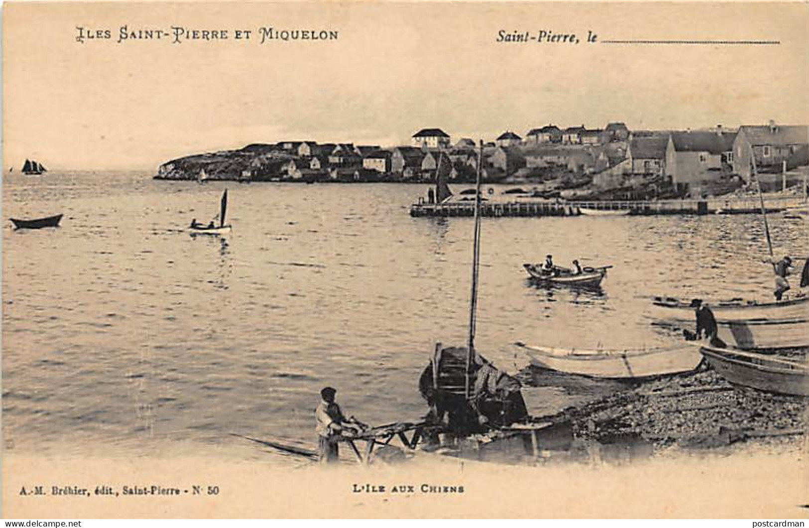 Saint-Pierre et Miquelon - L'Ile aux Chiens - Ed. A.-M. Bréhier 50
