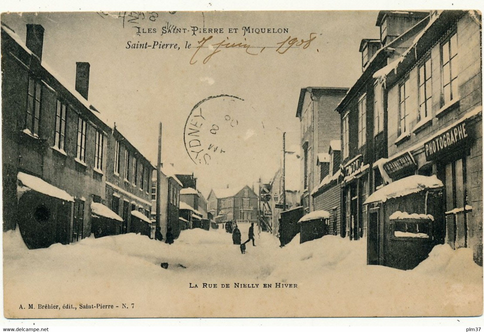 SAINT PIERRE ET MIQUELON - Rue de Nielly en Hiver - Carte en l'état