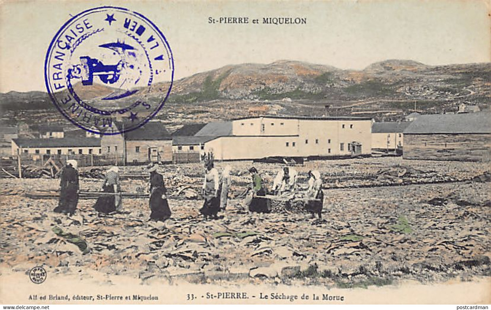 Saint-Pierre-et-Miquelon - SAINT-PIERRE - Le séchage de la morue - Ed. Alfred Briand 33 Aquarellée