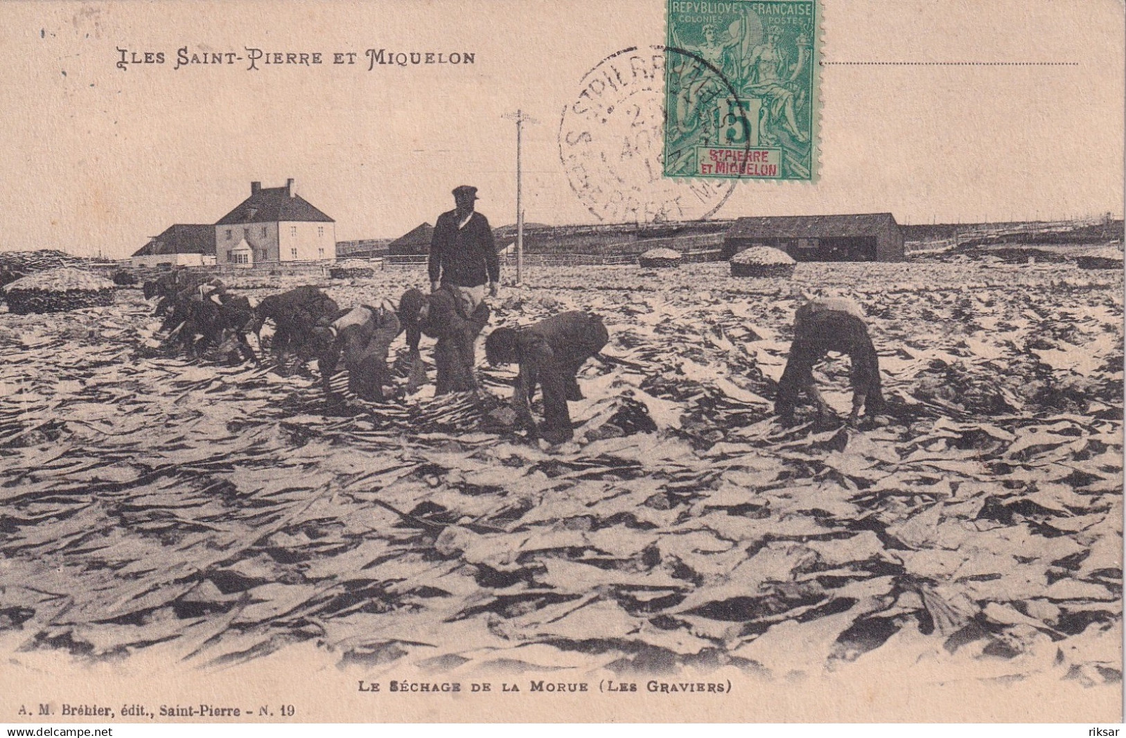 SAINT PIERRE ET MIQUELON(SAINT PIERRE) TYPE(SECHAGE DE MORUE)