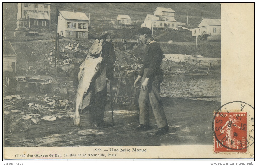 Saint - Pierre et Miquelon : Une belle Morue .