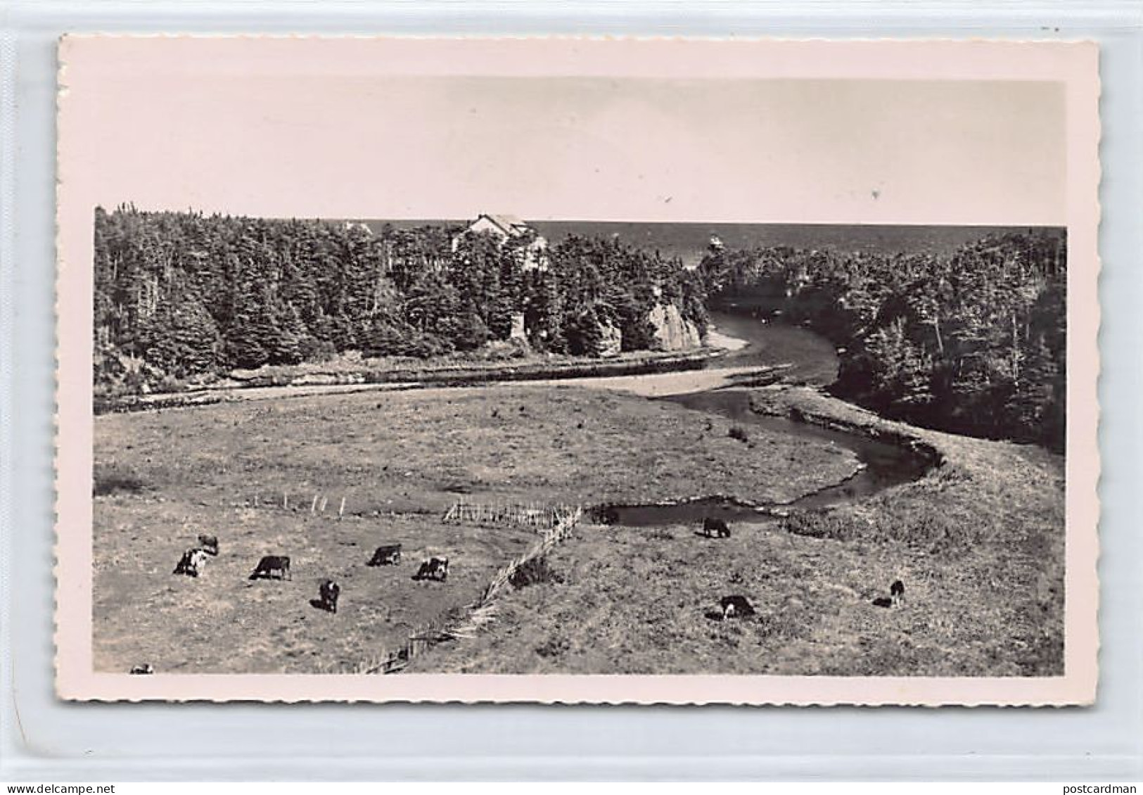 SAINT PIERRE & MIQUELON - Langlade - La belle Rivière - Ed. Jean Briand 10