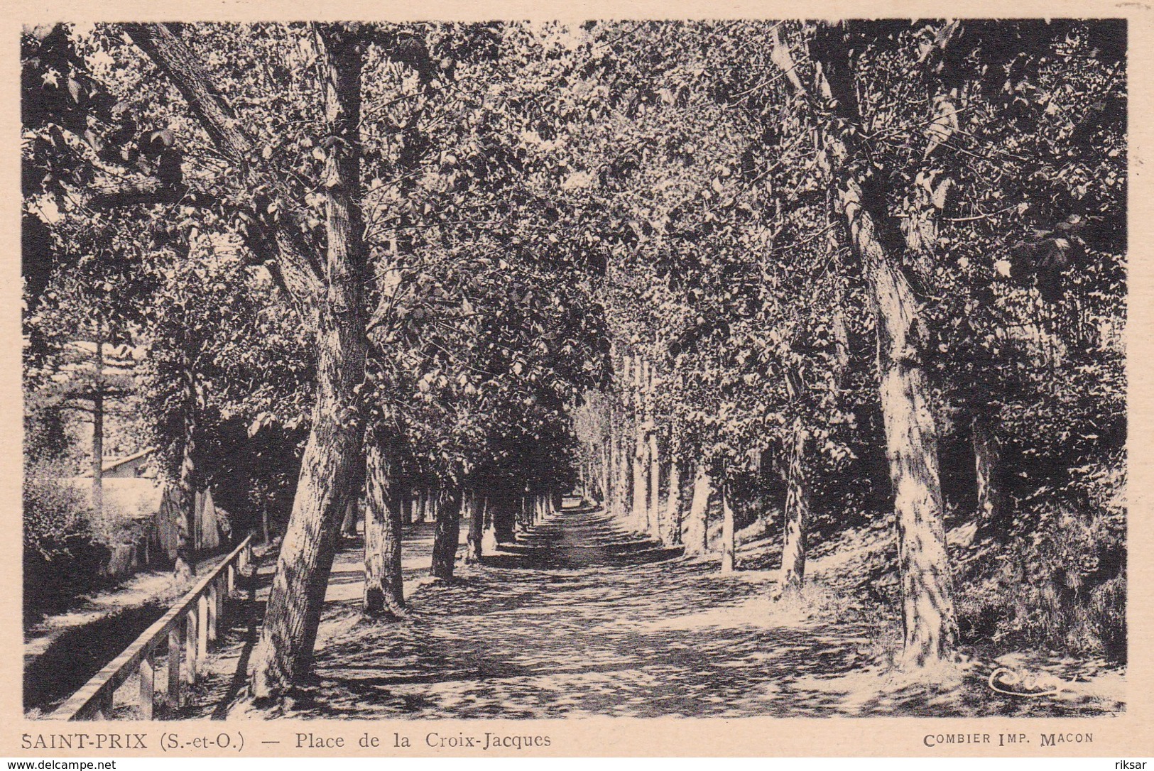 SAINT PRIX(ARBRE)