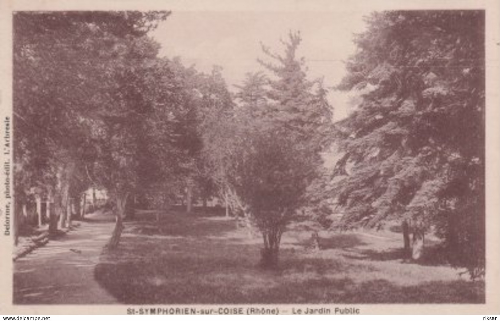 SAINT SYMPHORIEN SUR COISE(ARBRE)
