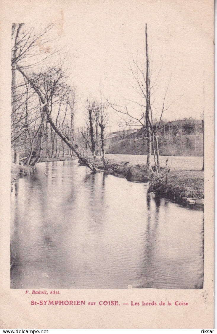 SAINT SYMPHORIEN SUR COISE(ARBRE)
