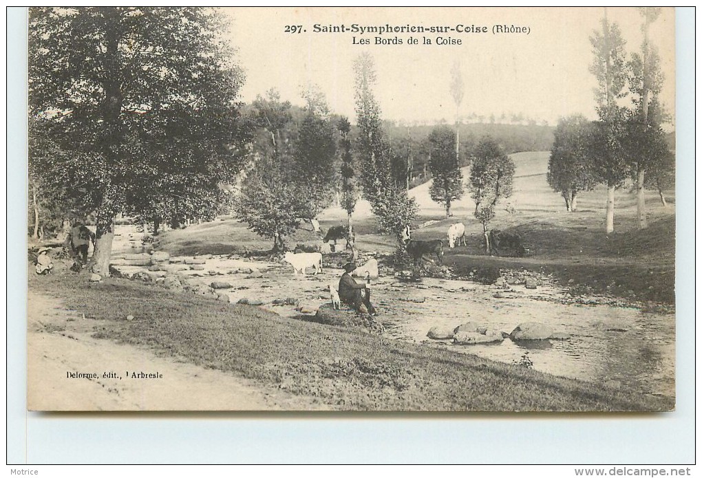 SAINT SYMPHORIEN SUR COISE - les bords de la coise.