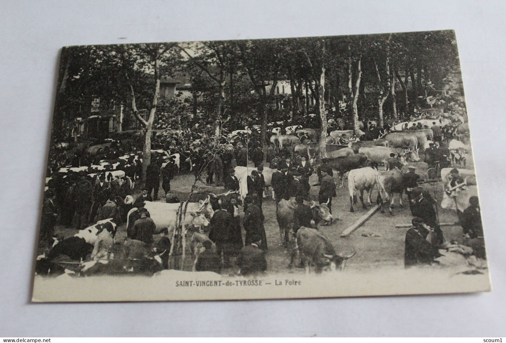 saint vincent de tyrosse - la foire