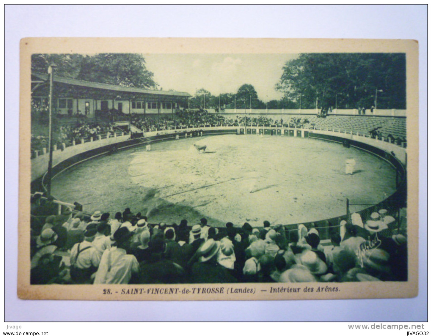SAINT-VINCENT-de-TYROSSE  (Landes)  :  Intérieur des  Arènes     (4)