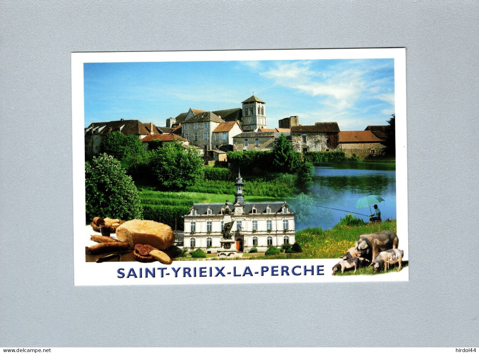 Saint Yrieix la Perche (87) : multivues