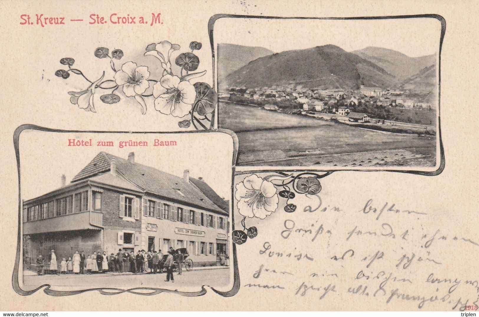 Sainte-Croix-aux-Mines (St. Kreuz) - Hotel zum grünen Baum