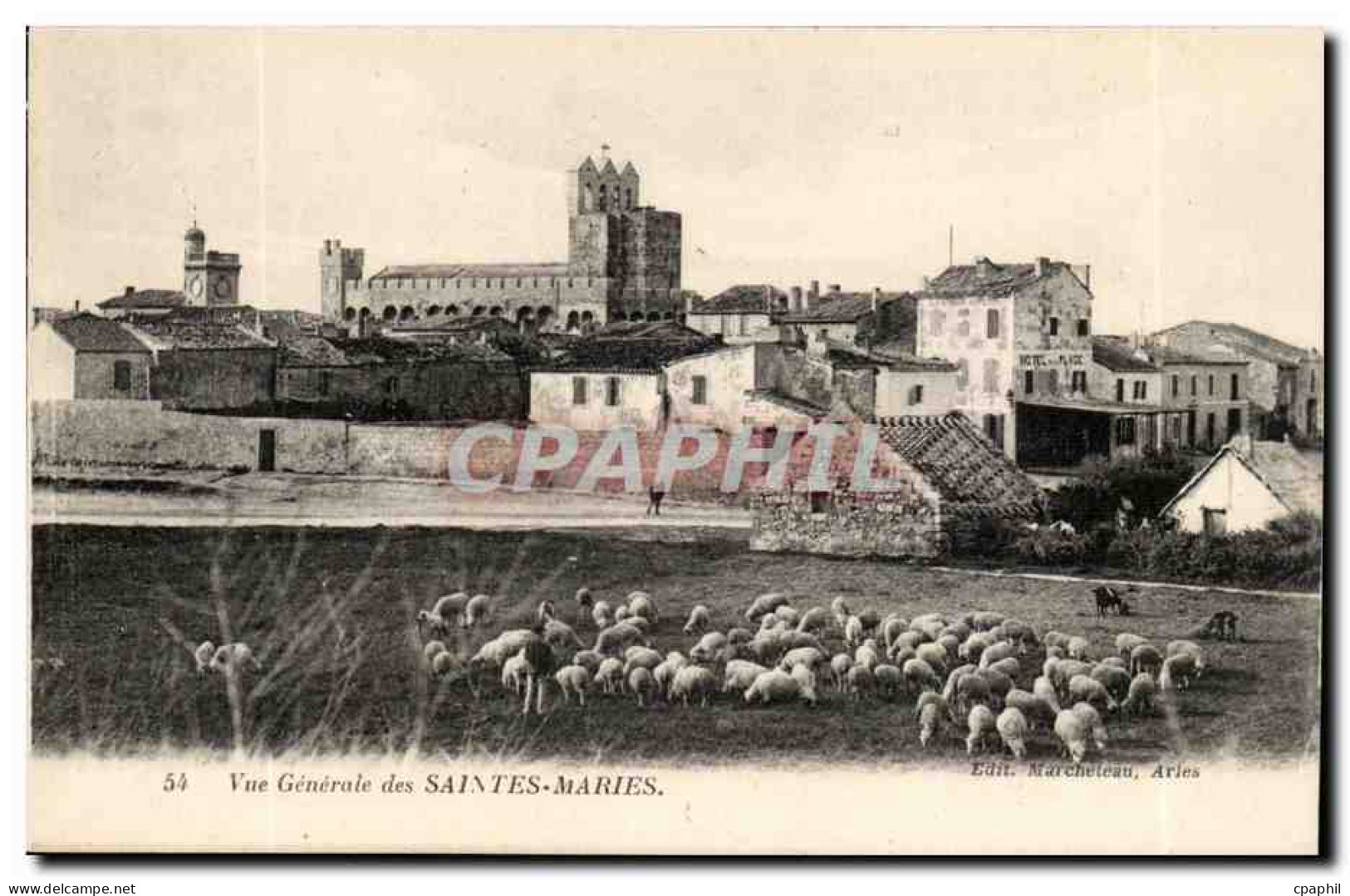 Saintes Maries de la Mer - Vue Generale - CPA