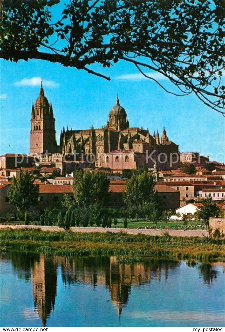 Salamanca Castilla y Leon Cathedrale y rio Tormes