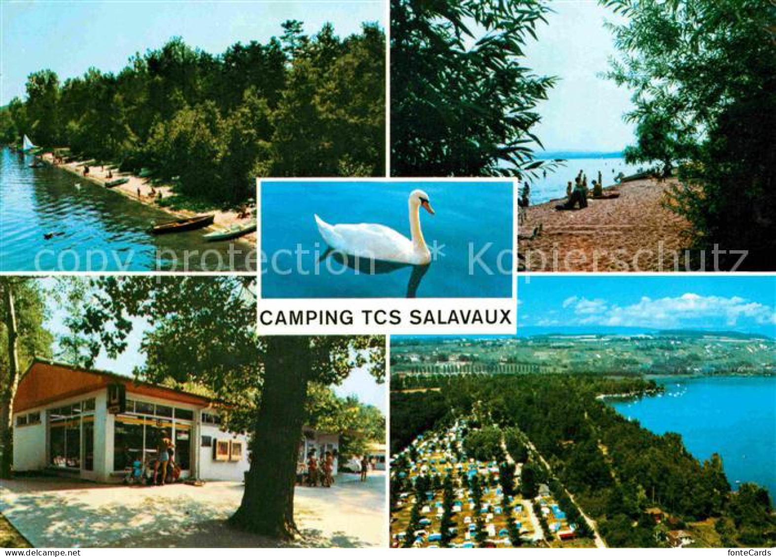 Salavaux Camping TCS Lac de Morat Strand Panorama