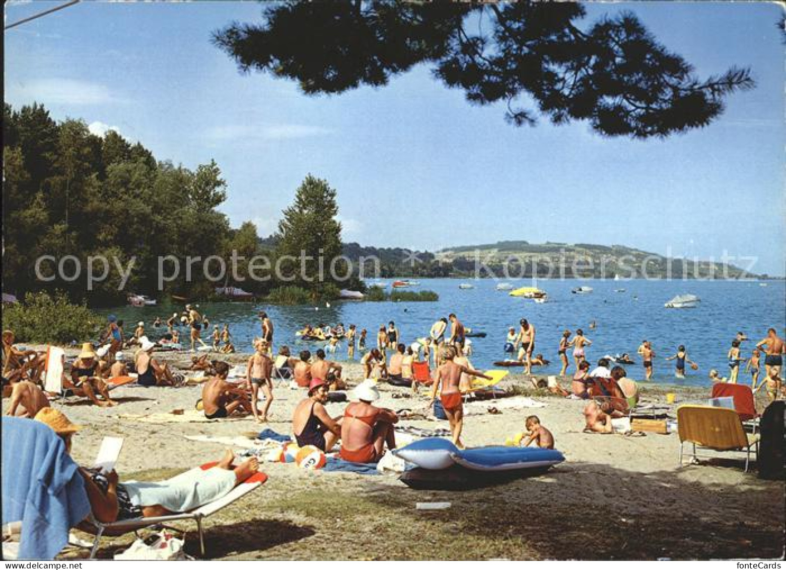 Salavaux Lac de Morat Plage