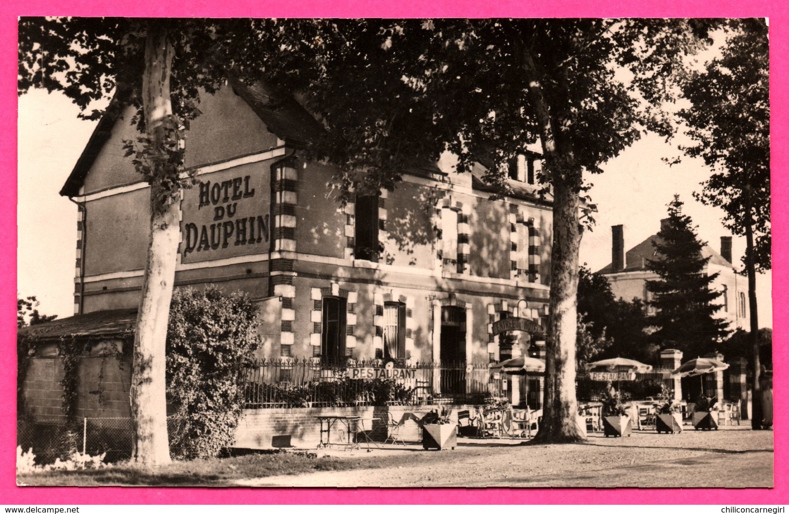 Salbris - Hôtel du Dauphin - Édit. SAINTELLIER