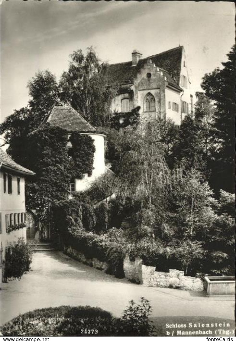 Salenstein Schloss