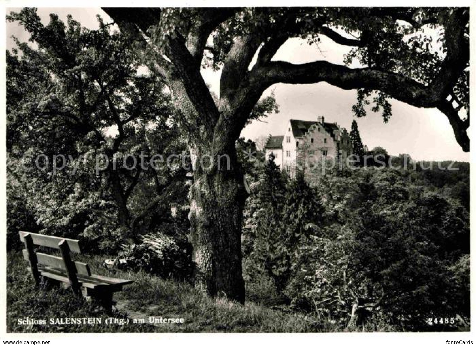 Salenstein TG schloss Salenstein am Untersee