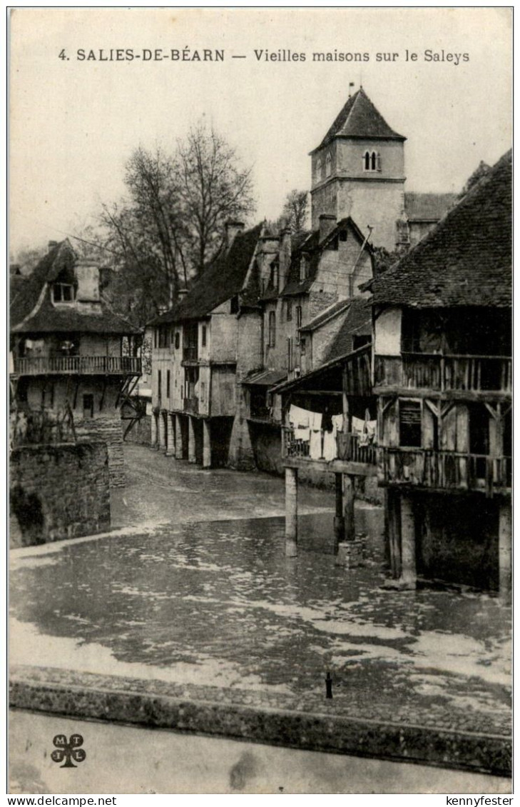 Salies de Bearn - Vielles maisons sur le Saleys