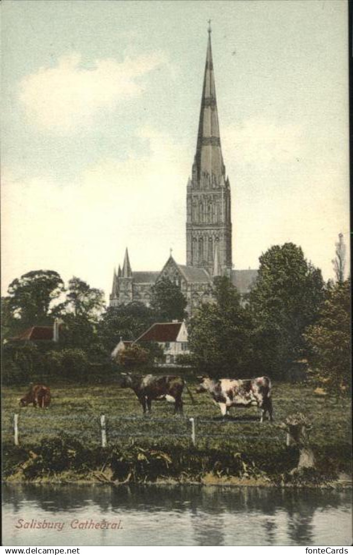 Salisbury Wiltshire Cathedral