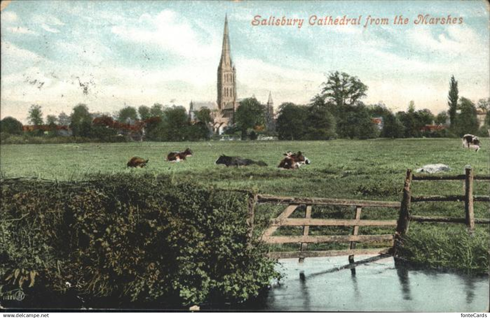 Salisbury Wiltshire Cathedral