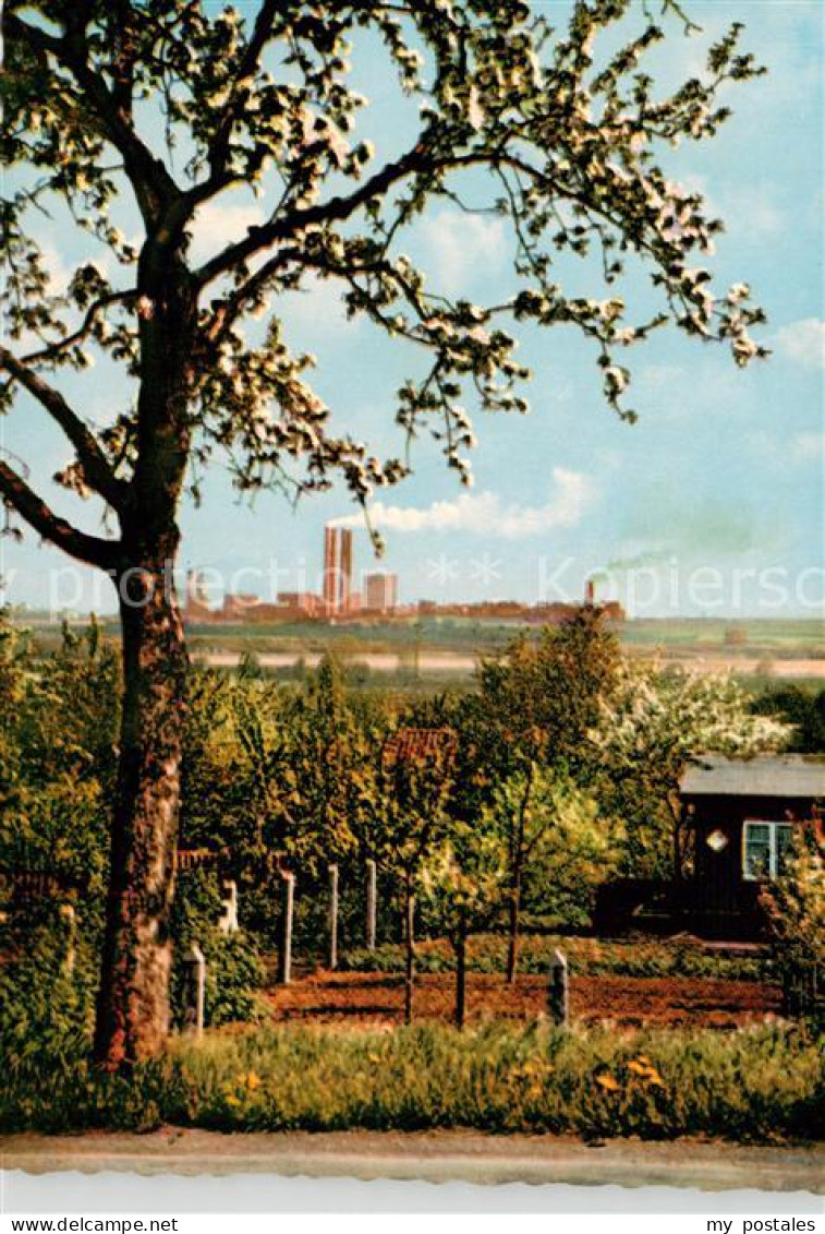 Salzgitter Huettenwerk Salzgitter AG