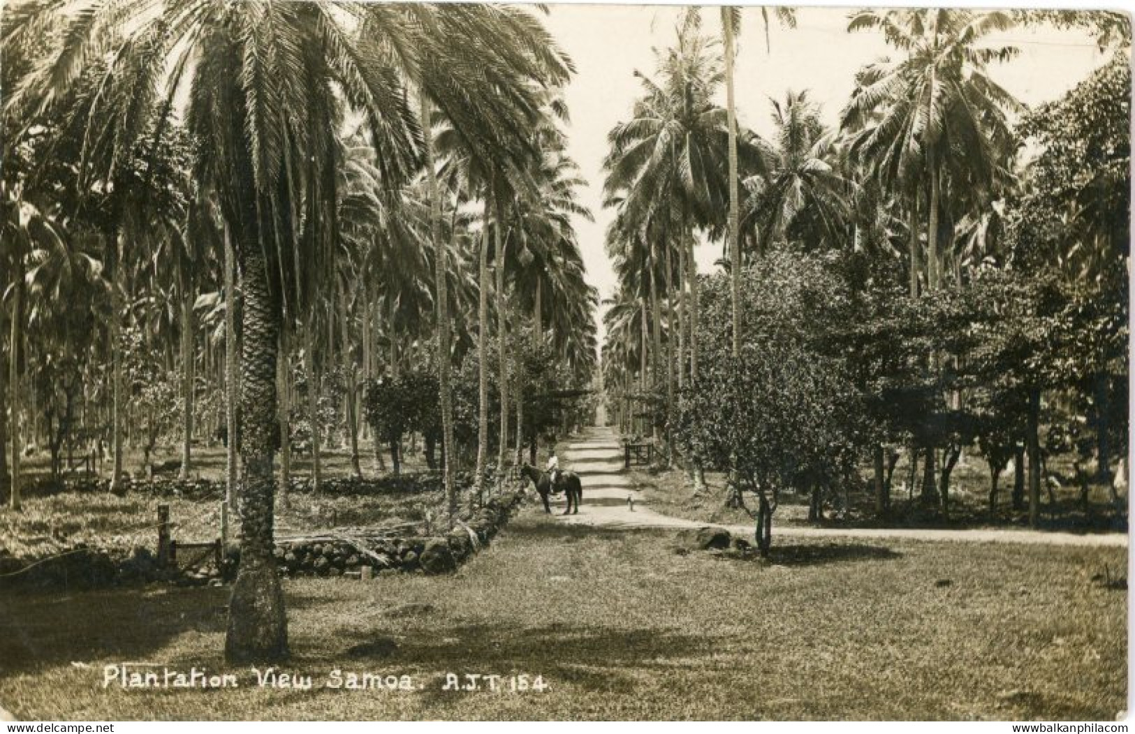 Samoa Plantation View photocard