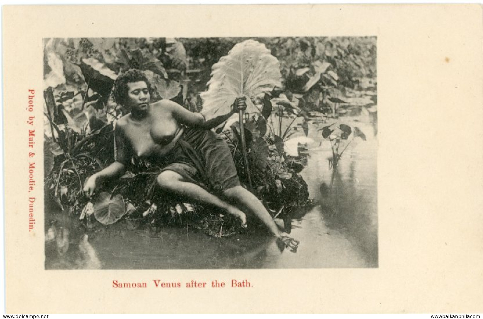 Samoa Venus Woman ed Muir & Moodie