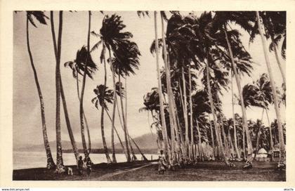 PC SAMOA, PACIFIC, UN ORAGE SUR SAMOA, Vintage Postcard (b19450)