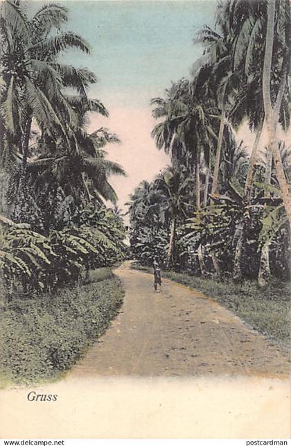 Samoa - APIA - Path through the coconut trees - Publ. A. Tatersall