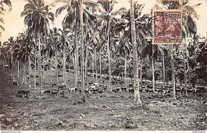 Samoa - Palm groves and cattle - REAL PHOTO - Publ. Tatersall Studio